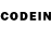Псилоцибиновые грибы GOLDEN TEACHER govno tasher