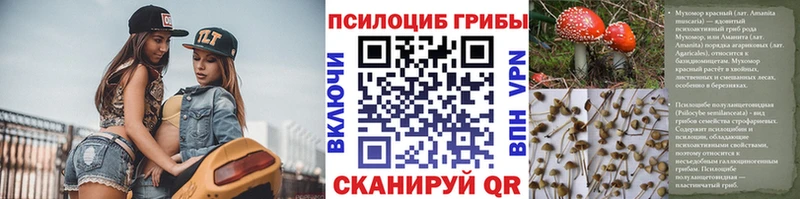 mega рабочий сайт  Палласовка  Галлюциногенные грибы MAGIC MUSHROOMS 